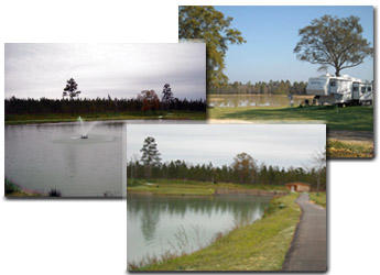 Lake Early RV Park, 5085 Topton Rd. McIntosh, AL 36553